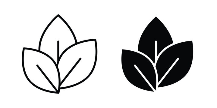 Basil icon symbol. Flat Vector illustration set
