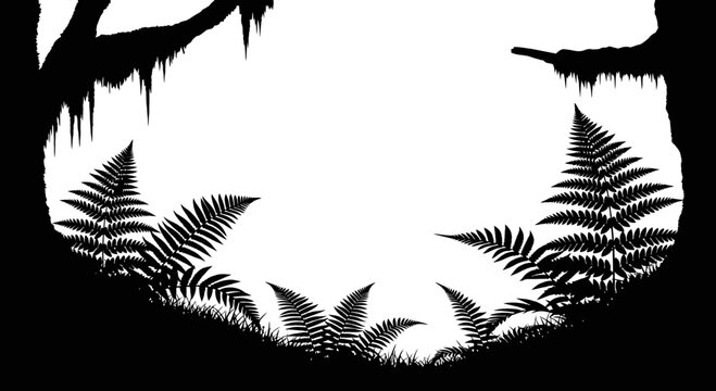 Tropical forest landscape silhouette with ferns and mossy trees