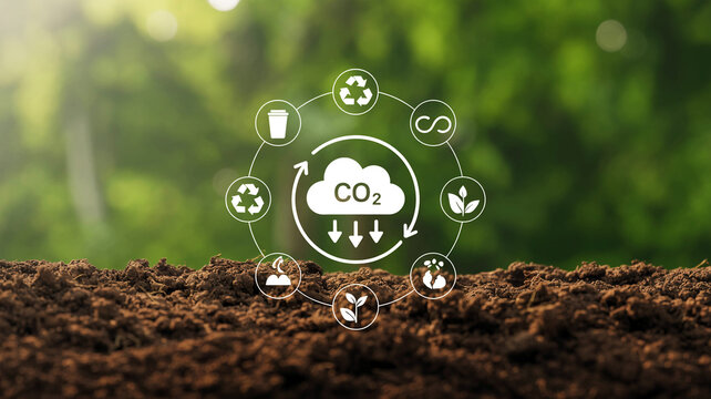 Circular economy concept with carbon dioxide reduction and sustainable icons floating above soil with green foliage in background