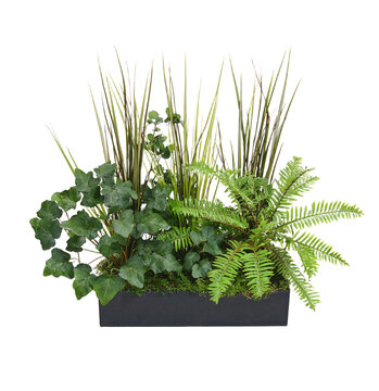 A variety of lush green indoor plants, including ferns, arranged in a modern black rectangular planter box on transparent  background.