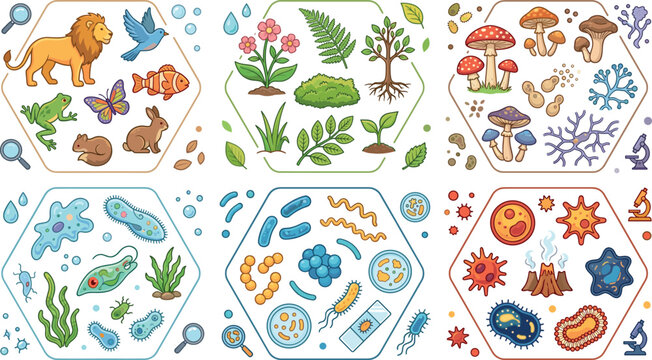 Biology Kingdoms Classification Illustration with Animals Plants Fungi Protists Bacteria and Virus Groups for Science Education