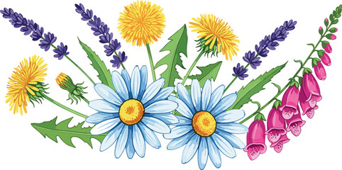 Wildflower Bouquet with Daisies Dandelions and Lavender Vector Illustration © MstSuraiya