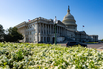 Naklejka premium Capitol facade features neoclassical design. Capitol building stands under blue sky. Capitol complex houses federal institutions. Capitol icon represents American governance.
