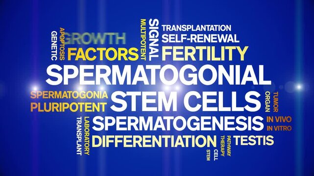 Spermatogonial Stem Cells animated word cloud-gross domestic product animation tag kinetic typography seamless loop.