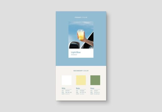 Color Palette Moodboard Template For Brand Style Guide, Color Scheme Board, Lookbook Layout & Colour Swatch Mockup Card