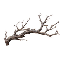 Fototapeta premium Dried tree branch with twisted roots and bare limbs isolated on white background