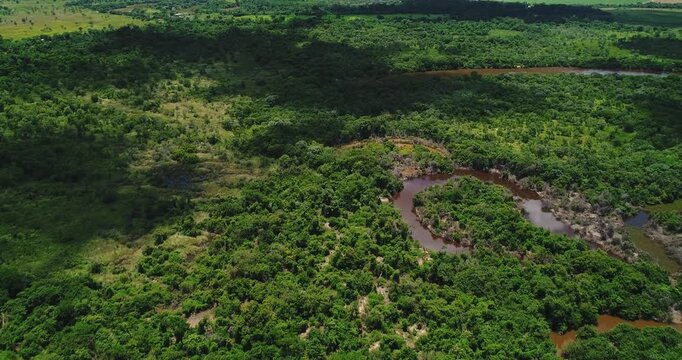 Braided muddy river channels flowing through dense gallery forest and cerrado wetland vegetation near Arinos, Minas Gerais, Brazil within the Urucuia Plateau and S&atilde;o Francisco watershed. Drone aerial