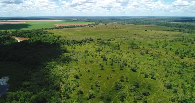Wet cerrado grassland and agricultural terrain near Arinos, Minas Gerais, Brazil with scattered shrubs, seasonal wetlands and rural pasture under cloudy sky. Drone yaw and forward flyover.