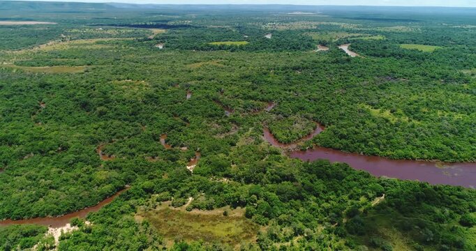 Meandering cerrado tributary flowing through dense gallery forest and seasonal wetland vegetation near Arinos, Minas Gerais, Brazil inside the Urucuia Plateau and S&atilde;o Francisco basin. Drone yaw and fo