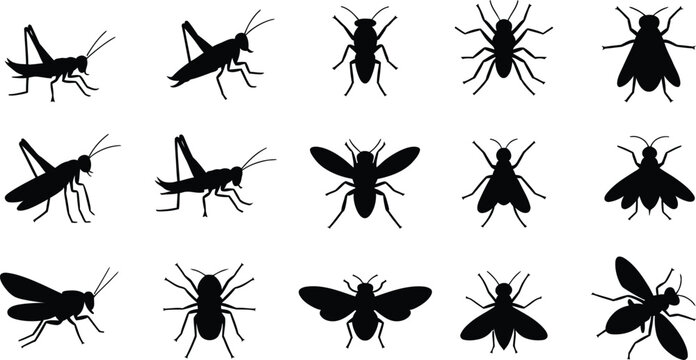 Sixteen insect silhouettes vector illustration, black insect icons collection, entomology design set, bug shapes for classification, artistic pattern