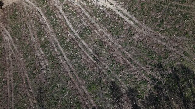 Aerial view shows barren land with prominent tire tracks, indicating recent human activity and environmental impact.