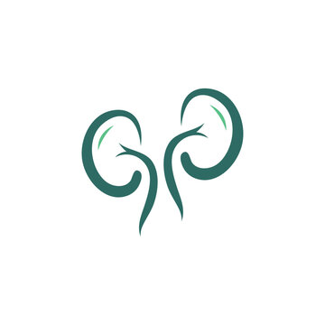 kidney logo vector design template