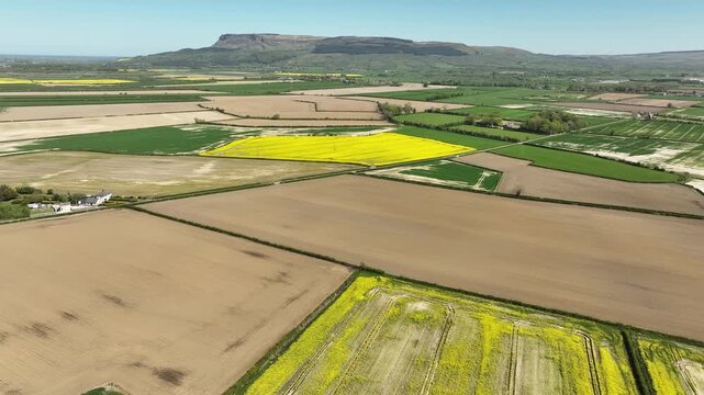 Binevenagh Mountain and Rapeseed Fields near Lough Foyle Northern Ireland