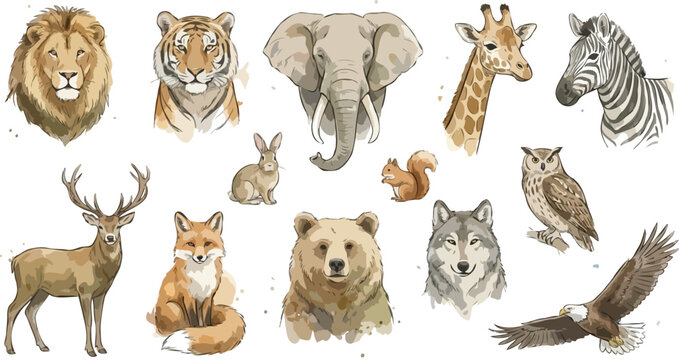 Set of wild animals painted in watercolor style including lion tiger elephant giraffe and zebra heads