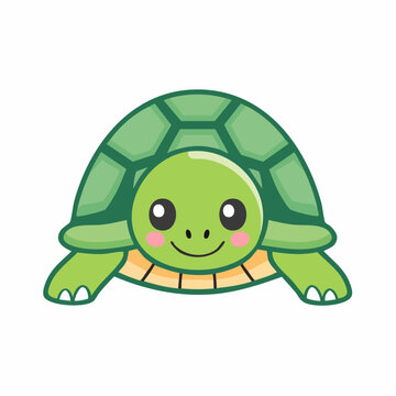 Cute Cartoon Turtle Illustration
