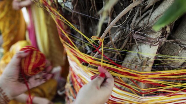 woman performing banyan tree worship ritual with sacred threads during traditional vat savitri puja