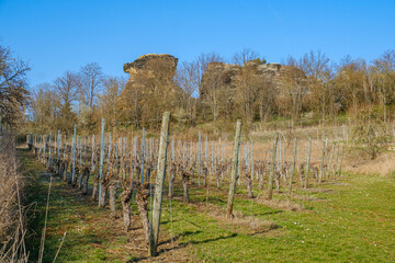 Fototapeta premium Königstein bei Westerhausen Felsformation