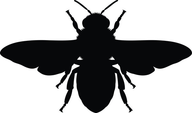 Black silhouette of a bee with spread wings and detailed body, isolated on transparent background vector.