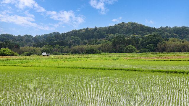 田植えが終わったばかりの水田と走る軽トラック