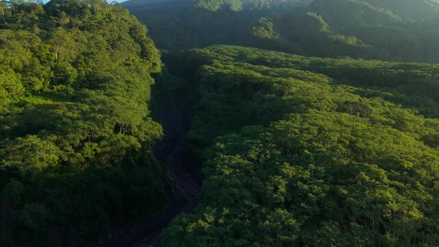 Aerial view of the lush green forest around the Kaliadem Merapi Bunker with the dark Kali Gendol riverbed cutting through the dense canopy with Mount Merapi in Pakem, Yogyakarta, Indonesia.