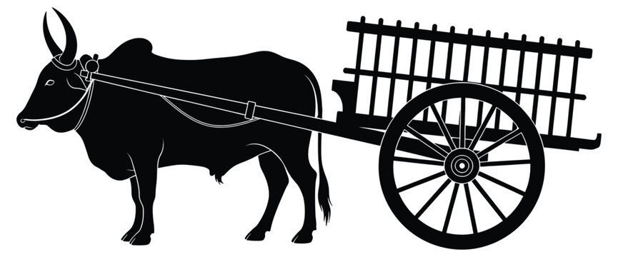 Silhouette of a bullock cart with a zebu ox isolated on white background