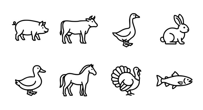 Butcher and farm animal outline icon pack featuring meat sources including poultry seafood and livestock vector illustration set
