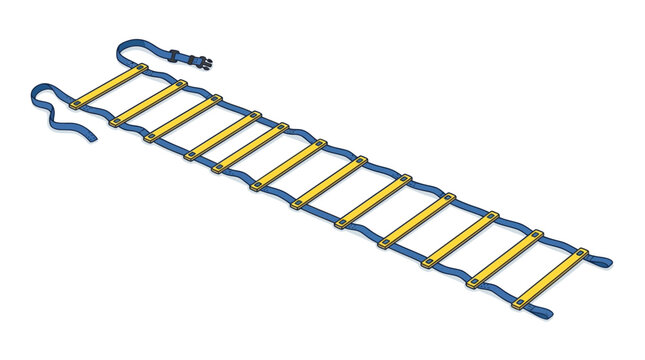 Agility Training Ladder