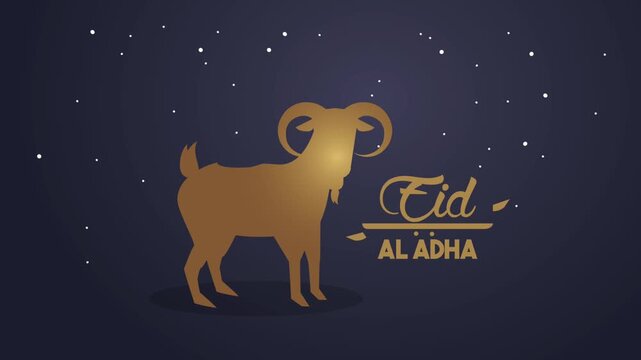 Eid al adha celebration animation featuring golden goat silhouette and floating stars on night background.