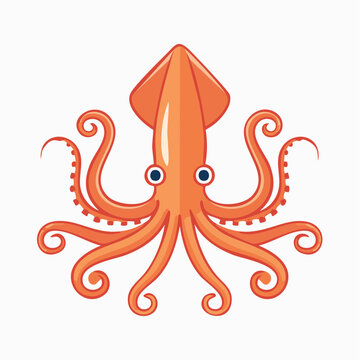 Cartoon Orange Squid Illustration