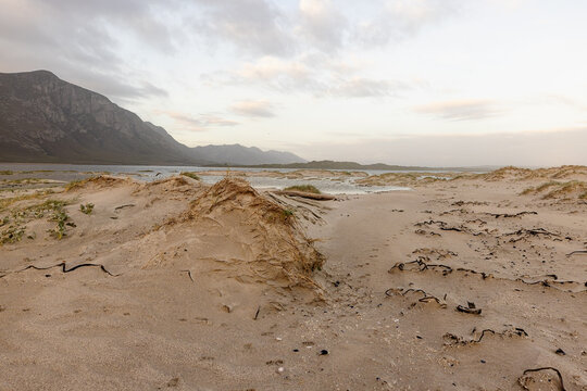 muted sunset light over Grotto lagoon and sand dunes, Hermanus, South Africa