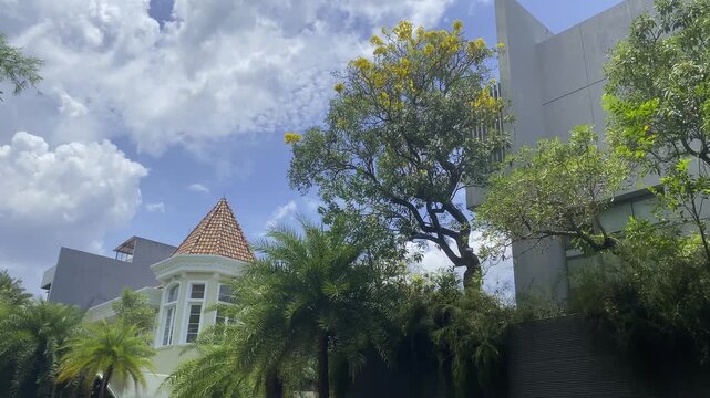 calming city view, fair weather with greenary and blue sky, high tree and yellow flowers in summer, realxing background footage