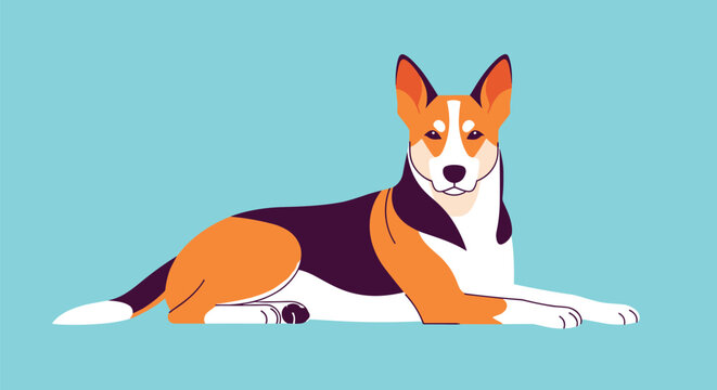 Alert and attentive dog with orange and white fur lying down on a solid turquoise background, showcasing a noble pet pose.