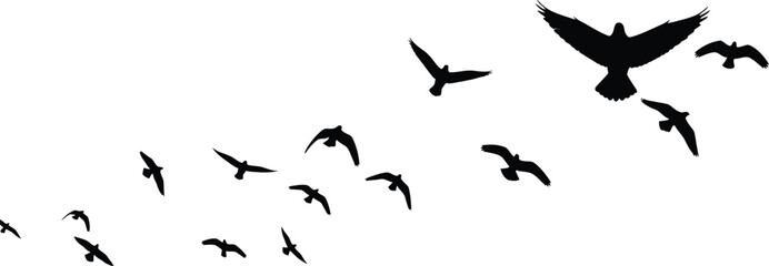 Obraz premium Flock of Black Birds Flying in Sky