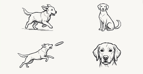 Fototapeta premium Professional collection of four hand-drawn dog sketch icons featuring a golden retriever running, sitting, fetching a frisbee, and a detailed head portrait.
