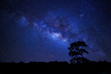 Fototapeta premium Silhouette of tree at Phuhinrongkla national park and night sky space background, Starry universe in dark blue sky, Milky way galaxy with stardust field in deep universe