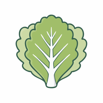 Illustration of a green lettuce leaf
