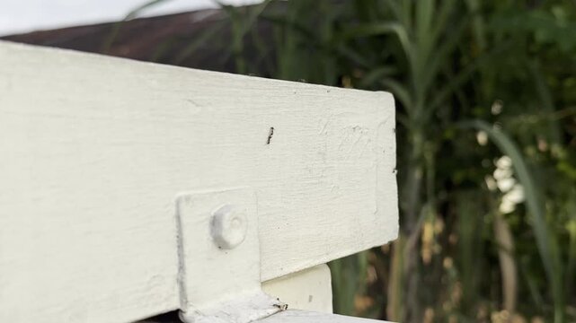 Weathered white wood beam with bolt attachment