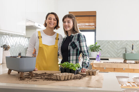 Diverse women in yellow overalls planting seedlings on kitchen island with biodegradable seed pots