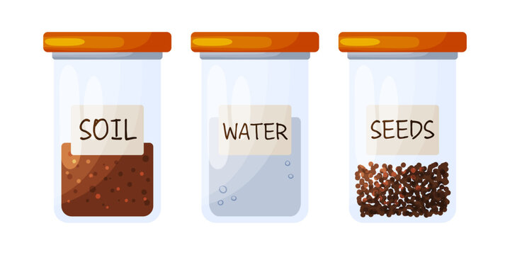 Set of Three Labeled Jars Soil Water Seeds