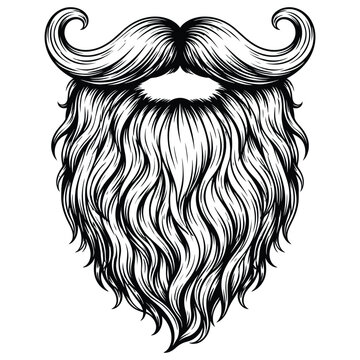 Hand drawn detailed beard and mustache