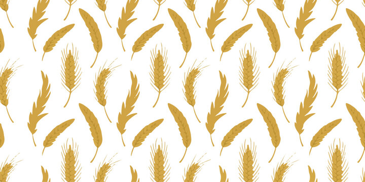 Golden harvest background with seamless wheat ear pattern and autumn grain vector illustration for agriculture design