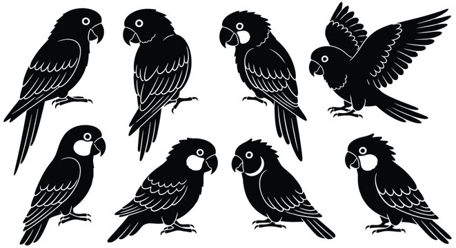 Silhouette of parrots in various poses