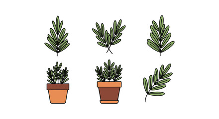 Fototapeta premium Rosemary Line art vector set minimal abstract illustration