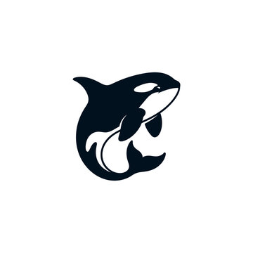 Silhouette of an orca whale with prominent dorsal fin and contrasting white eye patch