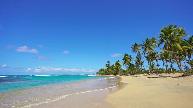 Bright palm trees on tropical beach with blue sky and white clouds abstract background. Copy space for summer vacation and business travel concepts. A perfect tropical landscape. Summer solstice.