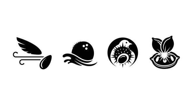 Set of four abstract black icons: winged seed, coconut, exotic fruit, and flower