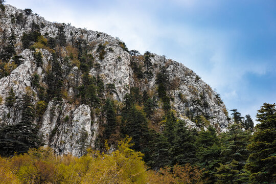 Mountainous area surrounded by autumn foliage. Landscape features