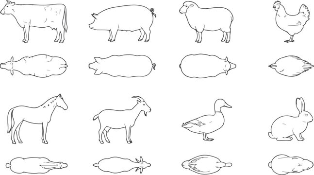 Farm animals drawn in outline style on a transparent background in four rows including cow pig sheep chicken.