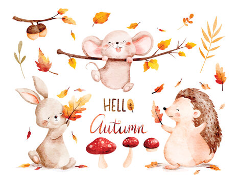 Watercolor Woodland Animals Set in Autumn Season with Nature Elements 