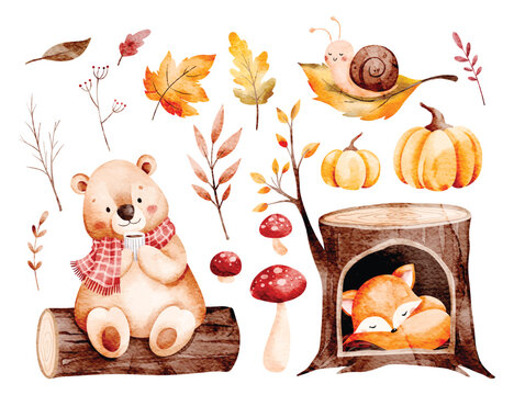 Watercolor Woodland Animals Set in Autumn Season with Nature Elements 